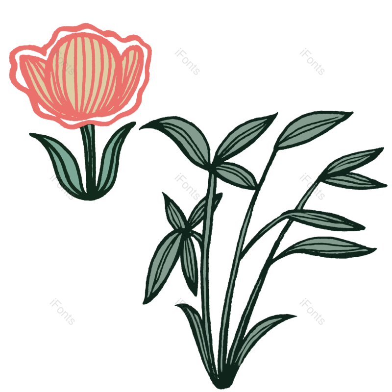 卡通图片,花卉元素,大自然PNG,绿色免抠素材